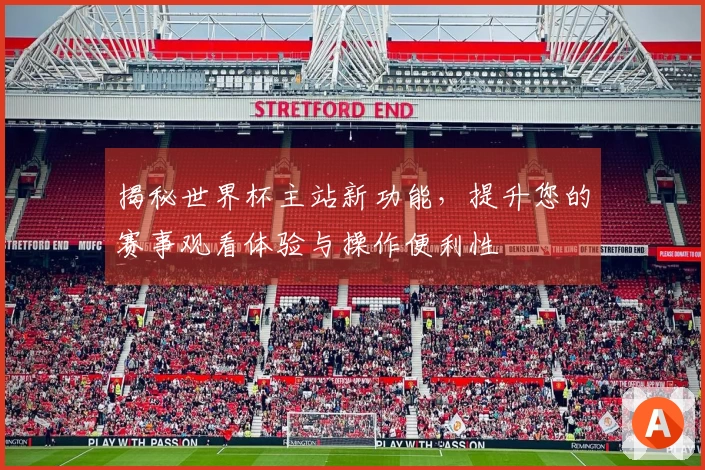 揭秘世界杯主站新功能，提升您的赛事观看体验与操作便利性