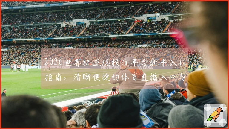2026世界杯正规投注平台新手入门指南,清晰便捷的体育直播入口与功能介绍