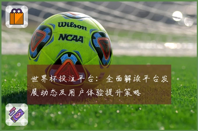 世界杯投注平台:全面解读平台发展动态及用户体验提升策略